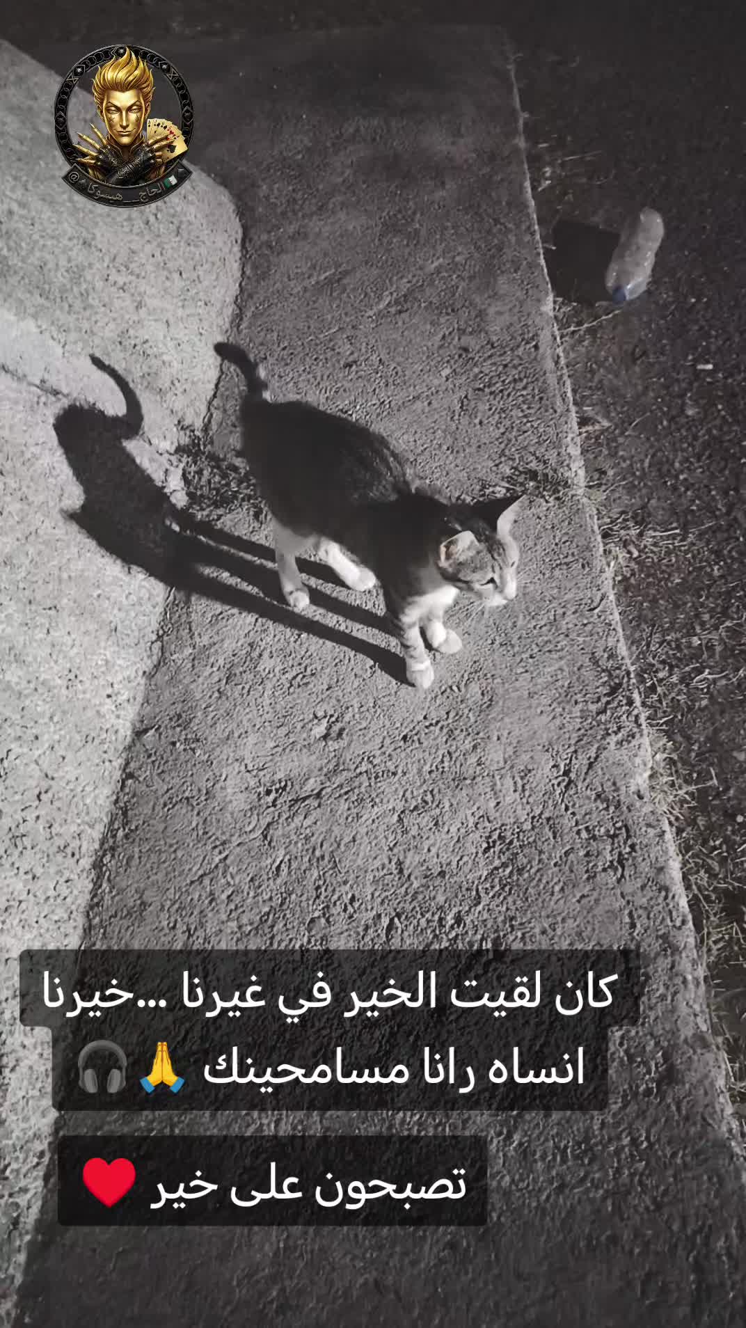 @⃤⚖️_•الحاج_⃤↡⑅⃝💀هـيسـوكـا•_⃤♠