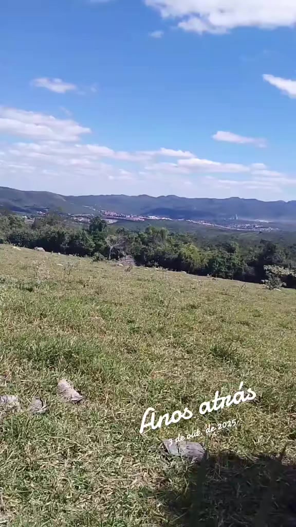 @Poliana Barbosa