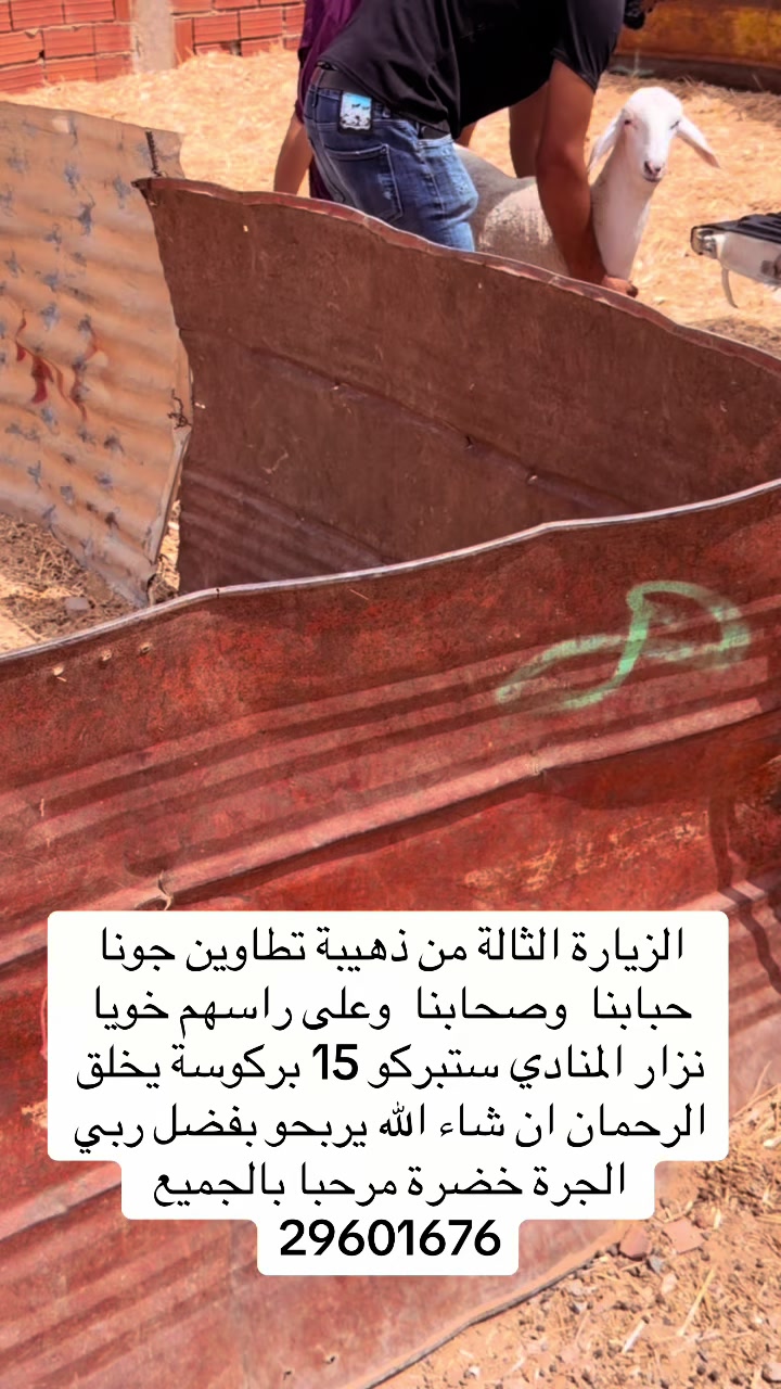 @بلال القفصي لبيع المواشي