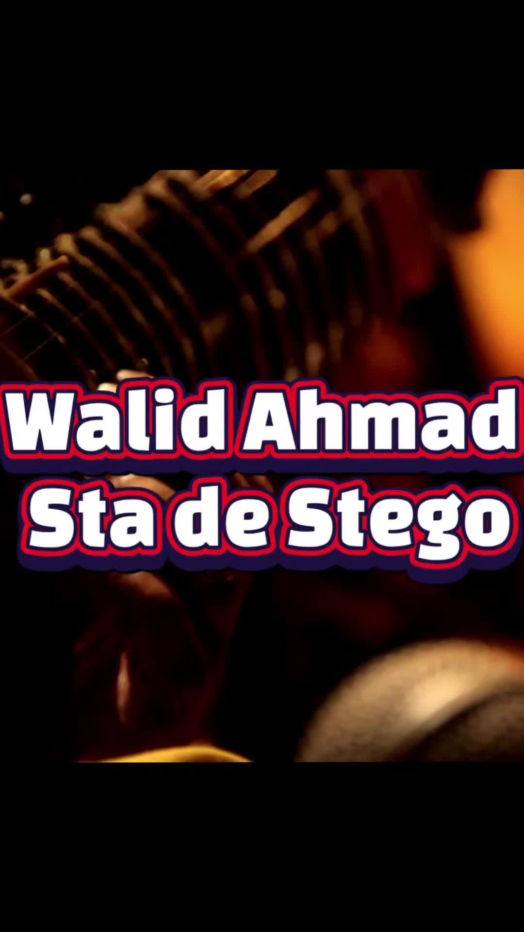 @afghan music