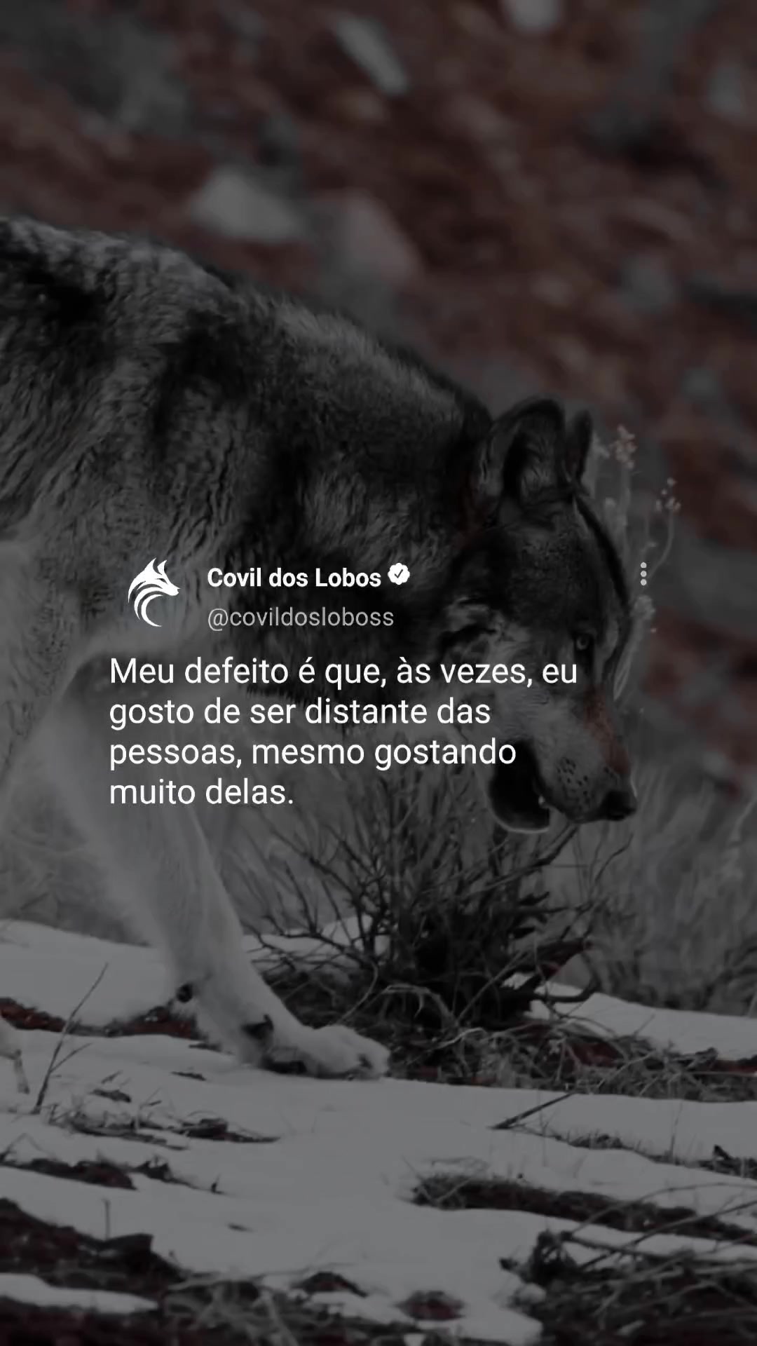 @Covil Dos Lobos