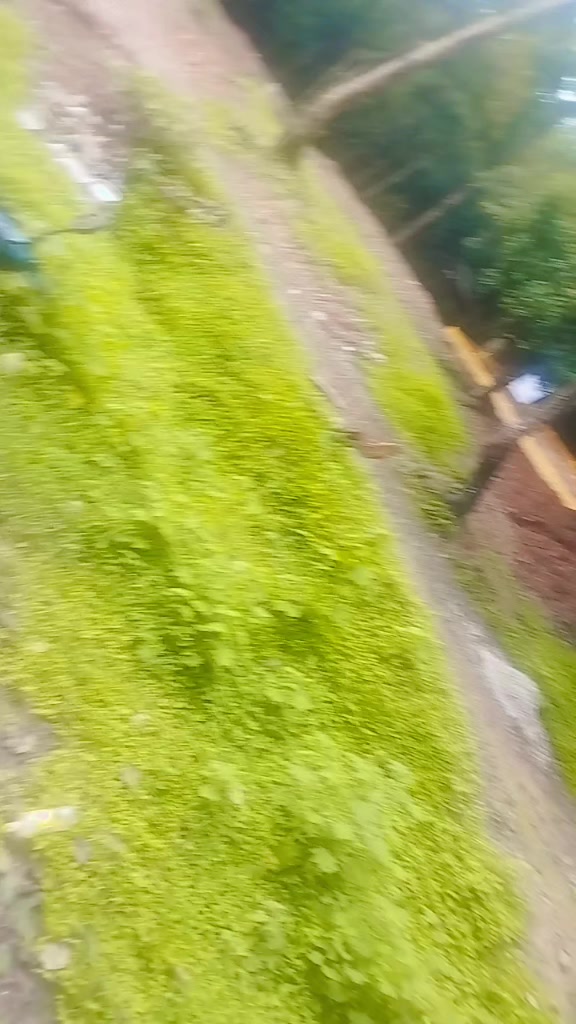 @samayera ali