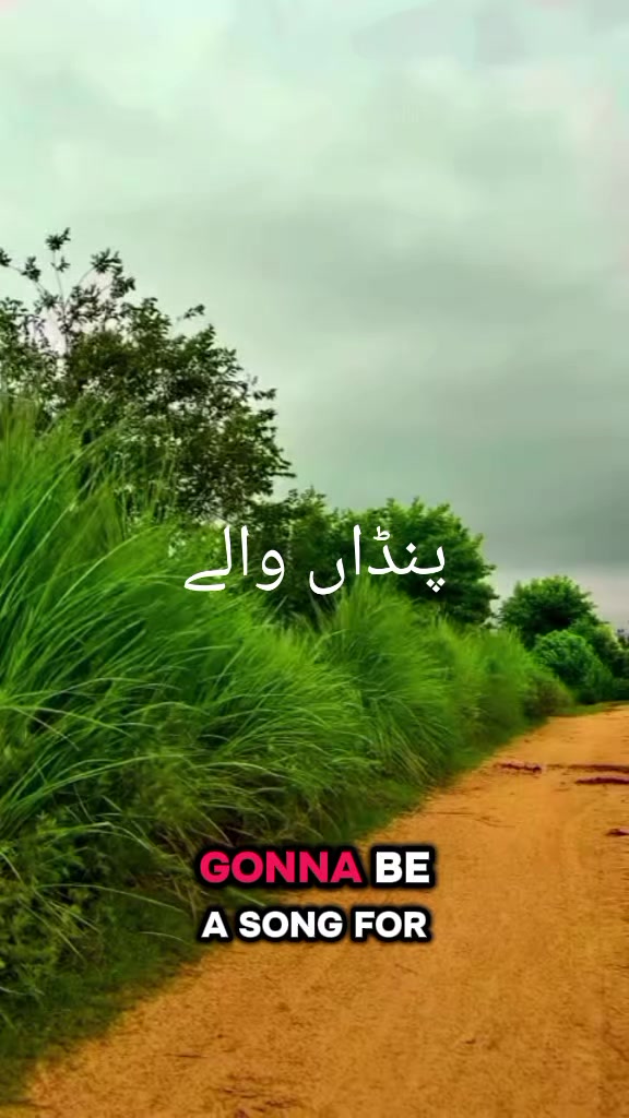 @zeeshan Ali Attari