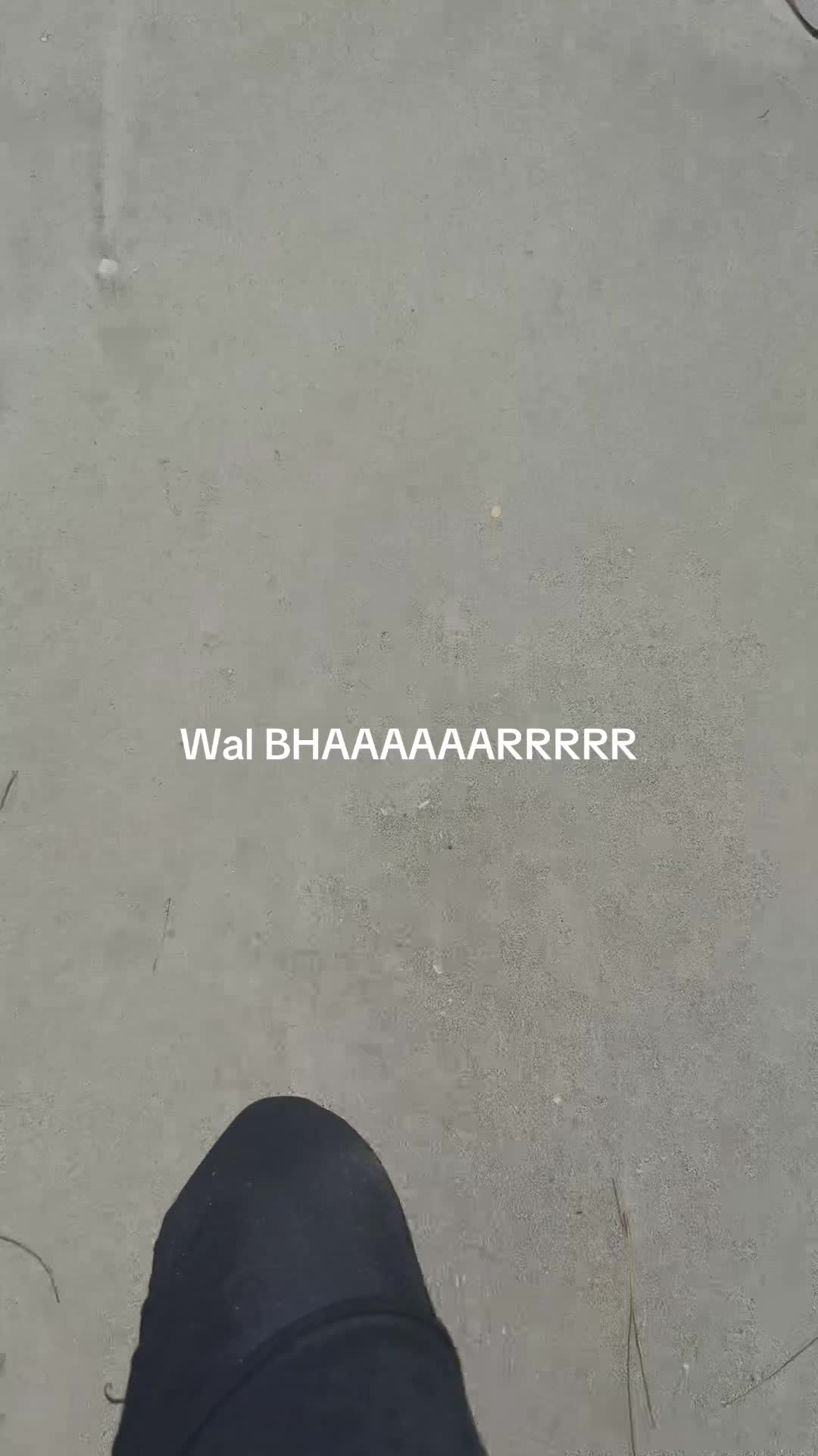 @Mina🪽