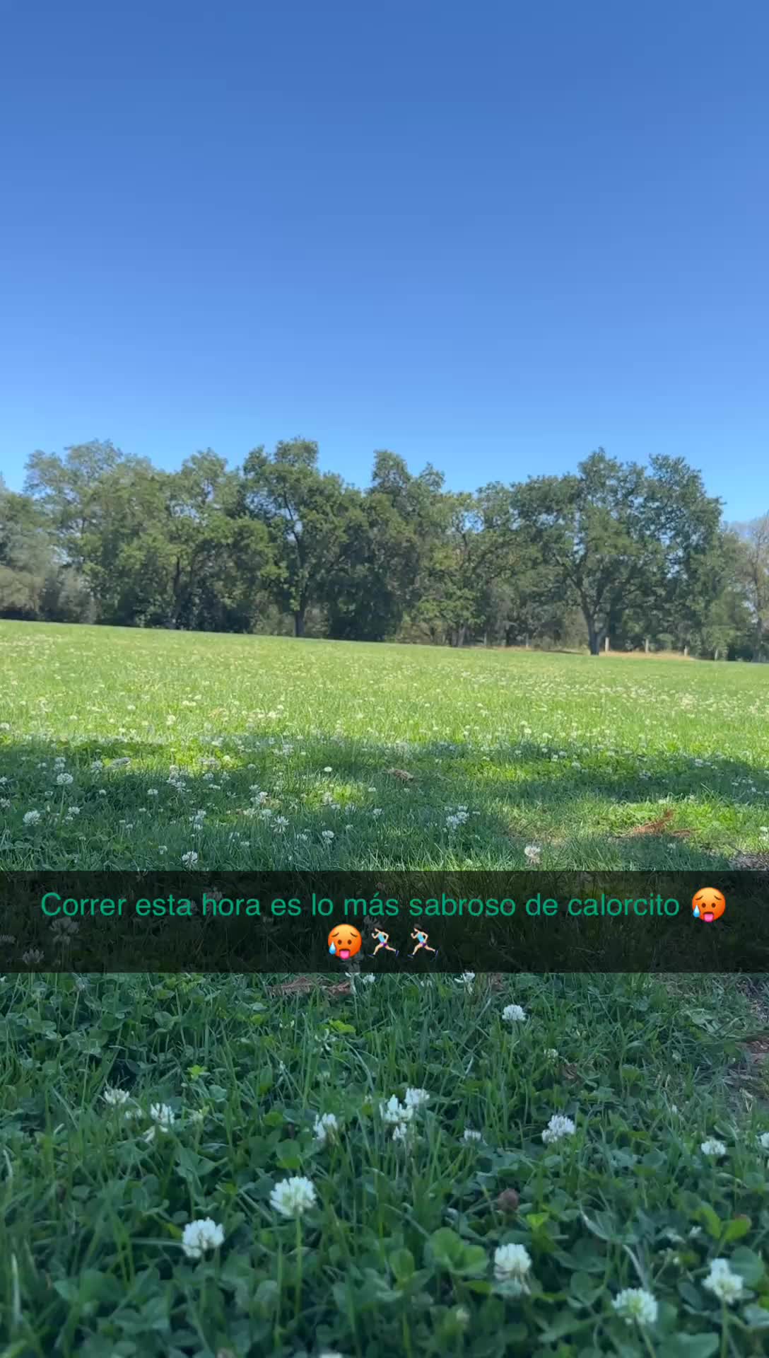 @antonia marin