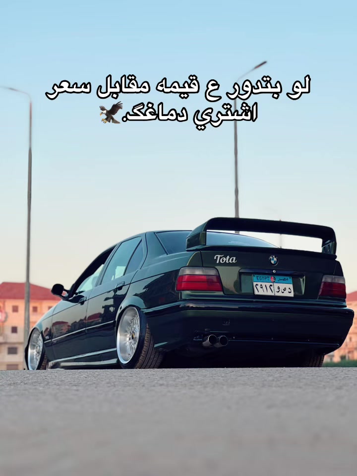 @Mahmoud_elhdad_0⚖️