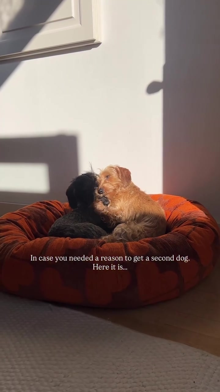 @lifeoflunabowie