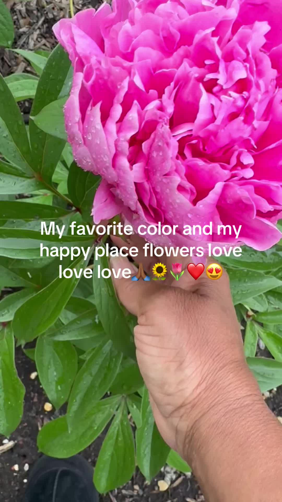 @prettypaulette66