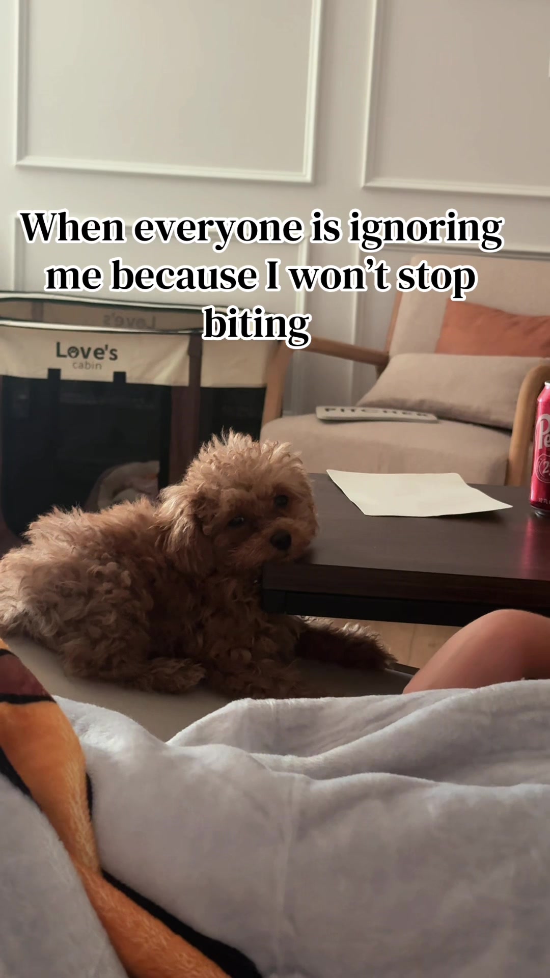 @Hazel Raine 🐾