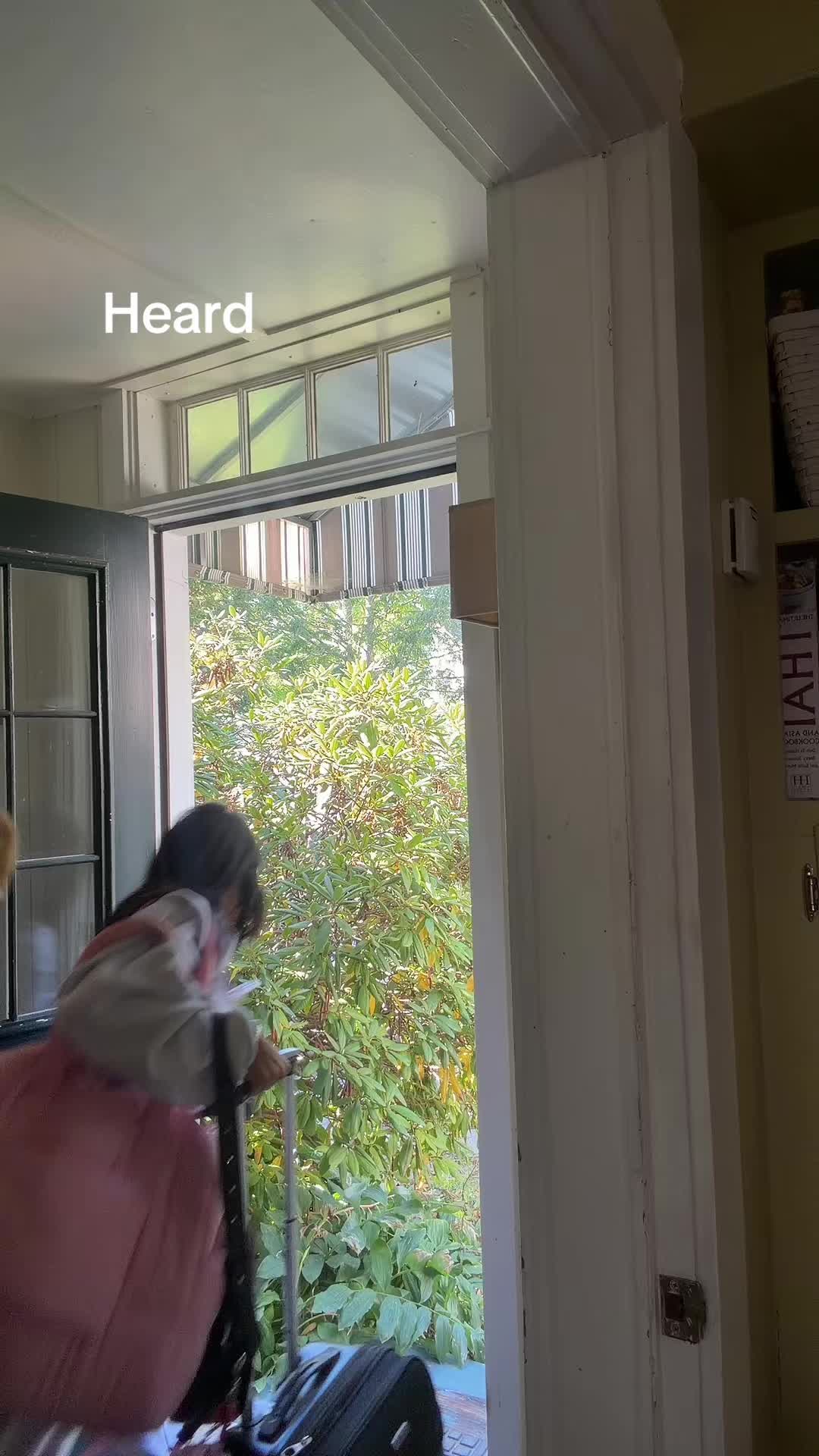 @kittygirl4061
