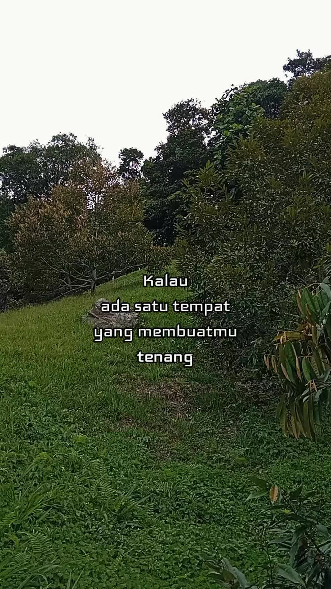 @ADY DURIAN FARM 🌳