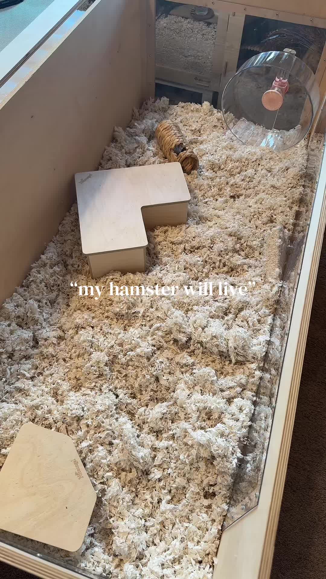 @alexa🤍🐾