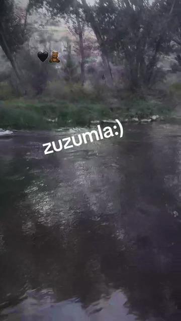 @zemheri