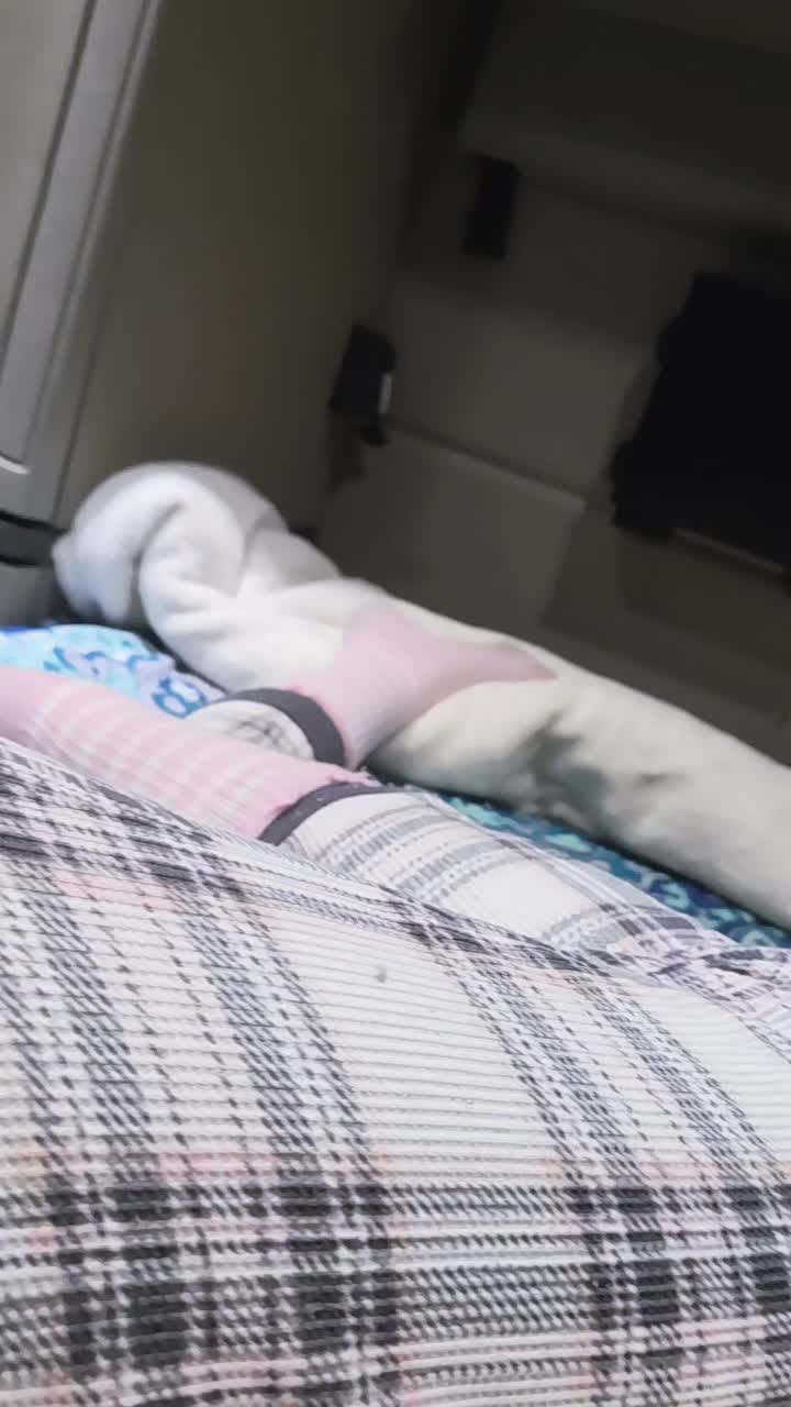 @scooterjenn