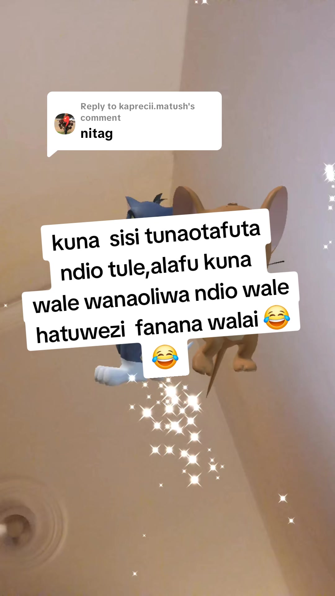 @fairy Queen 👸 ✨️ ( tana)
