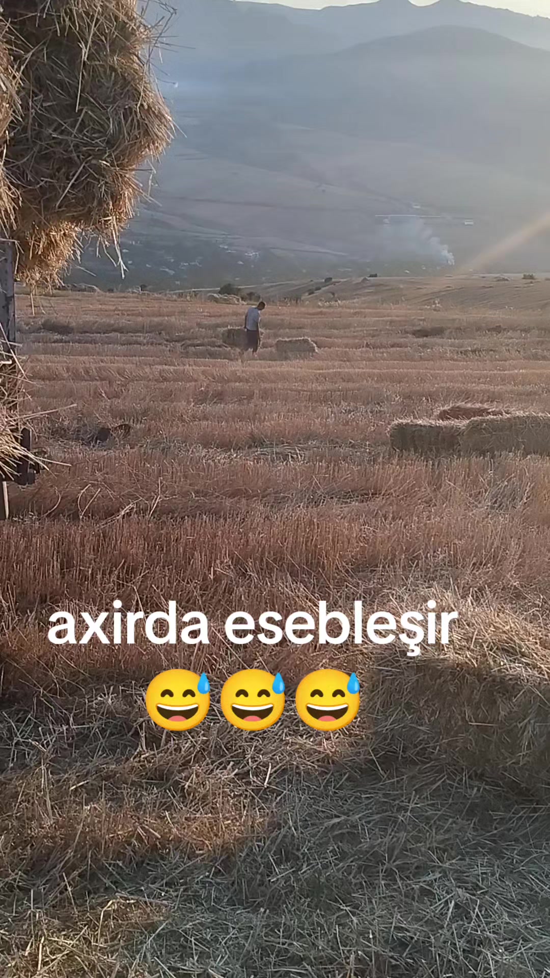 @SEY_MUR_043