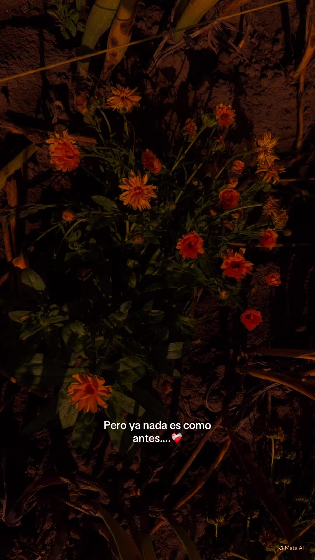 @Mor....A🕯️🕊️🤍