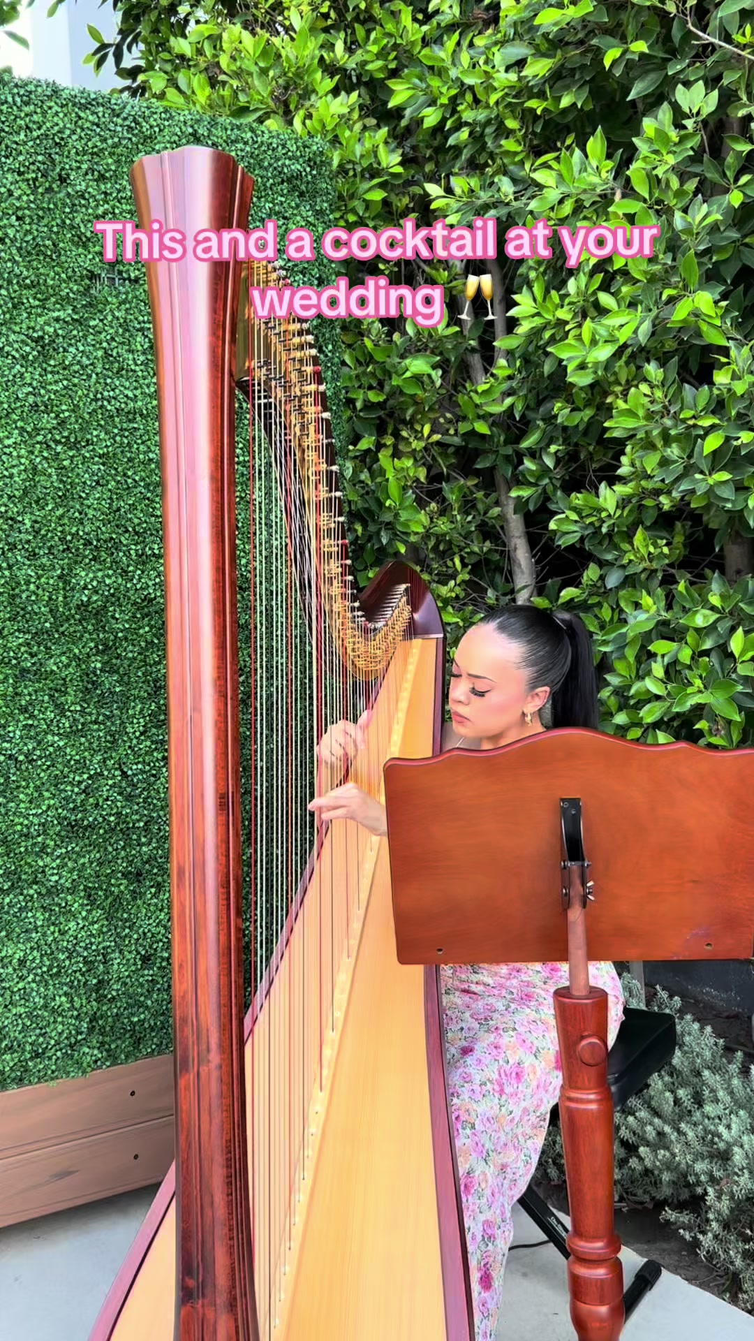 @betaniarodriguezharp