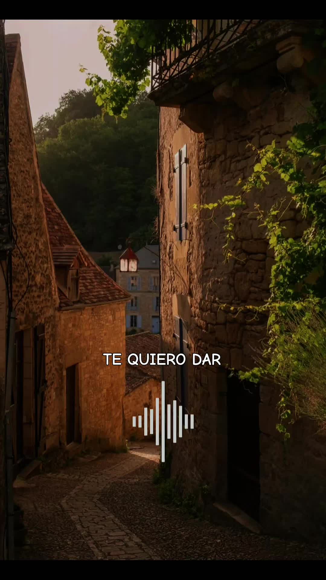 @vivi