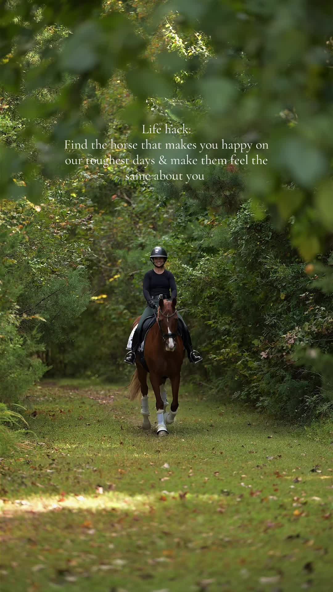 @Free Ride Equestrian