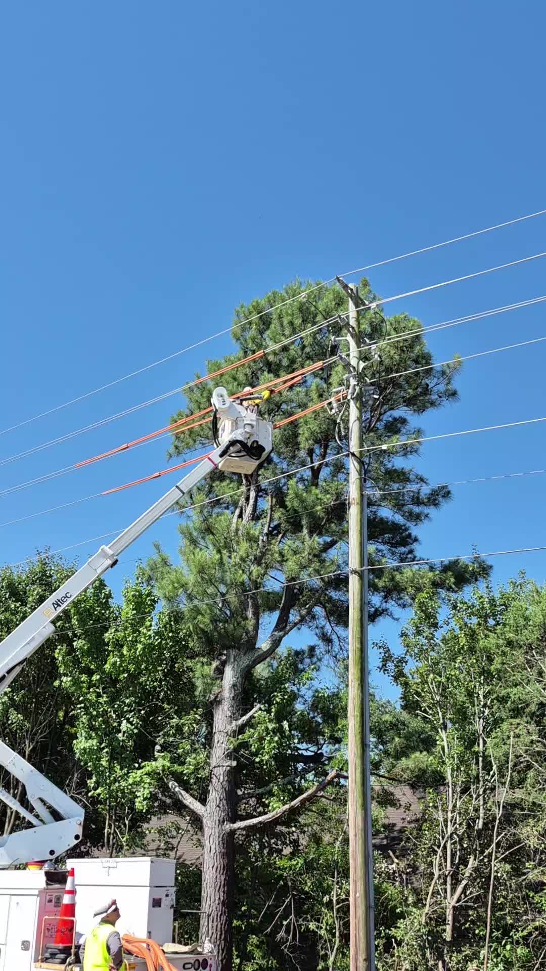 @R&G tree and landscaping