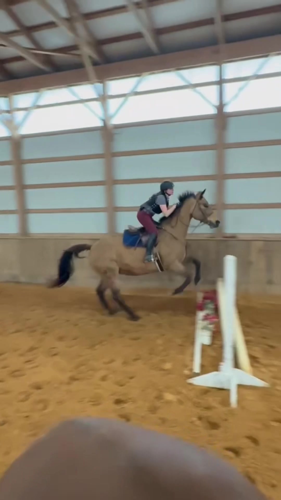 @Aftyn 🐎