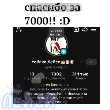 @собака Лейси👑|||🐶✅🐱✅