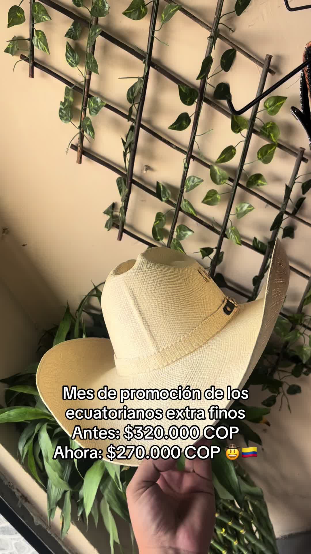 @universal_de_equinos