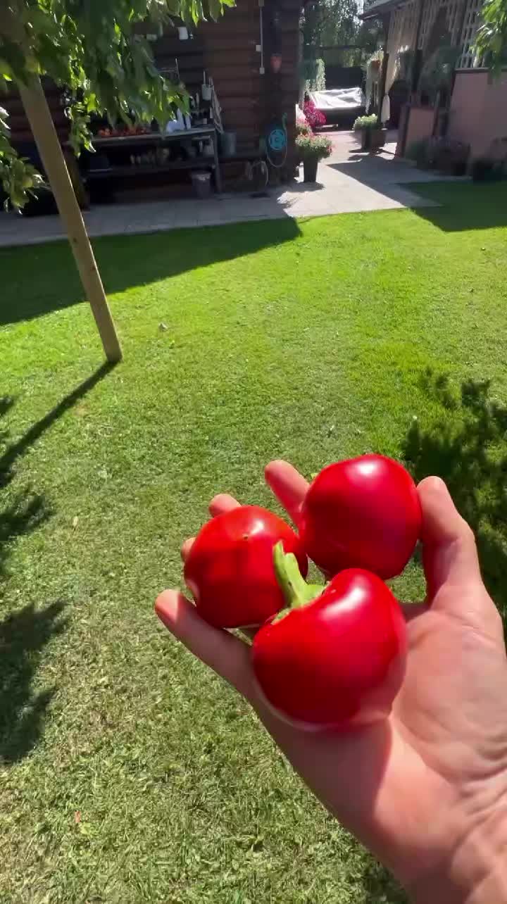 @Неугомонная Таня 😉✌️