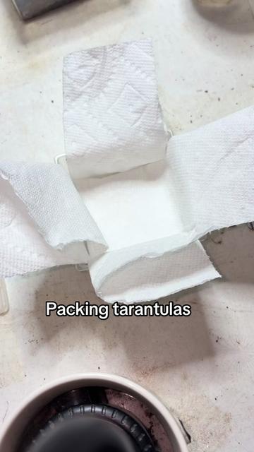 @Franksbuggin611