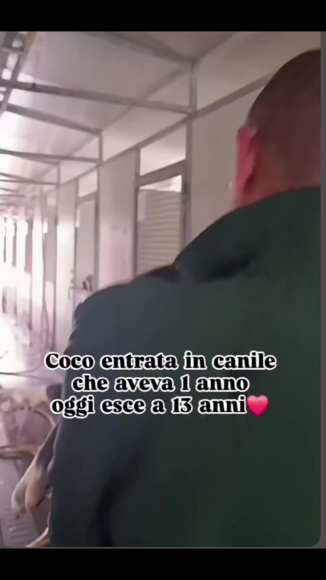 @Eleonora