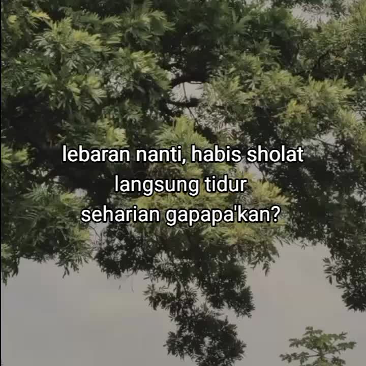 @goodvibez0