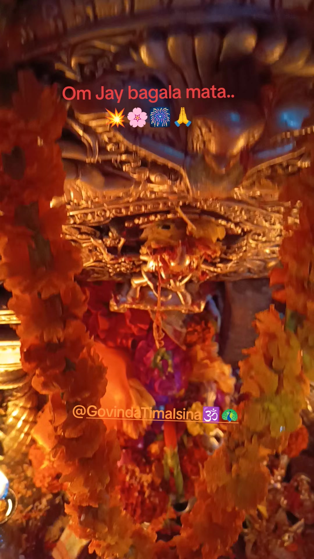 @Govinda Timalsina🕉🦚