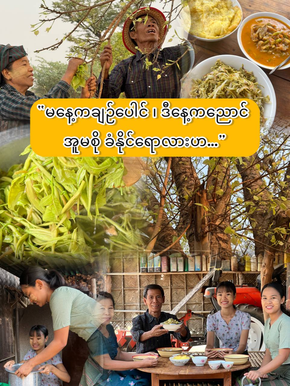 @Yar Taw Thu - ယာတောသူ