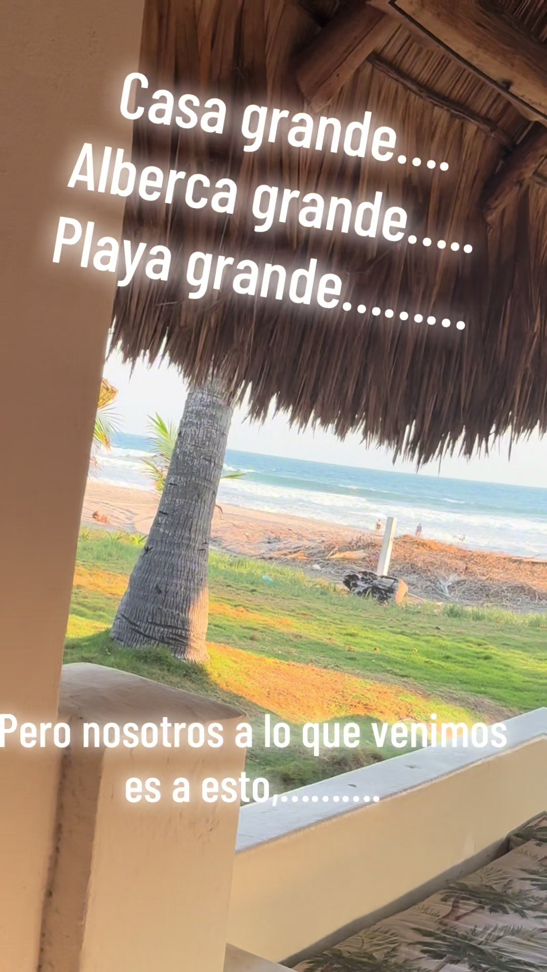 @Lissavega@50