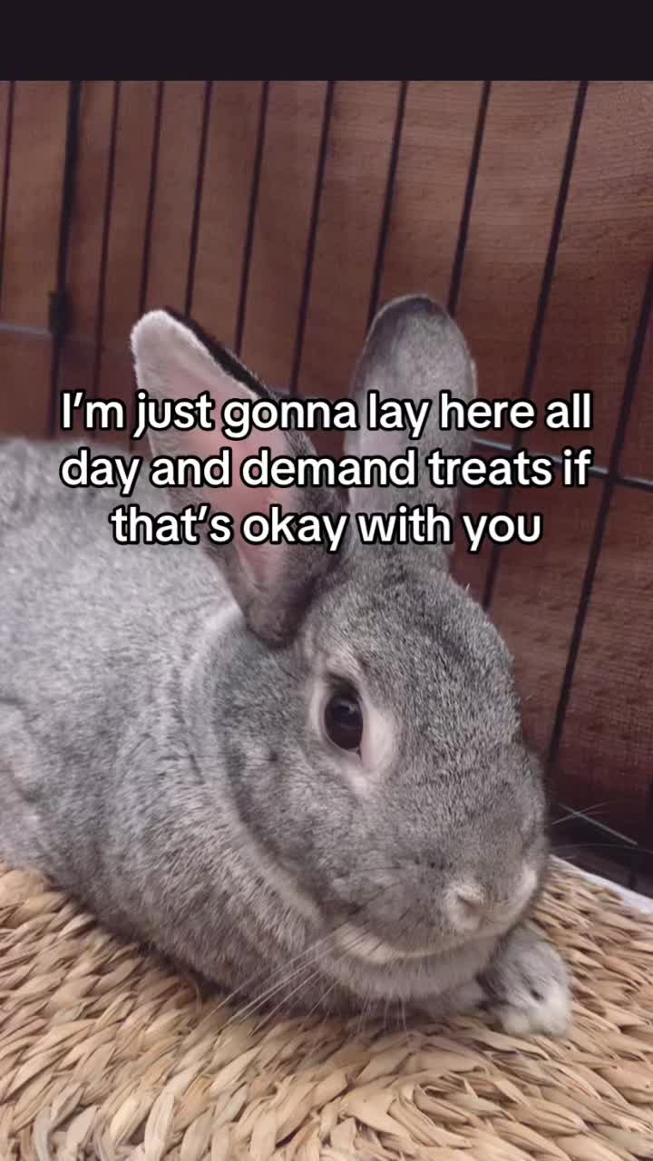 @interestinglilcreature
