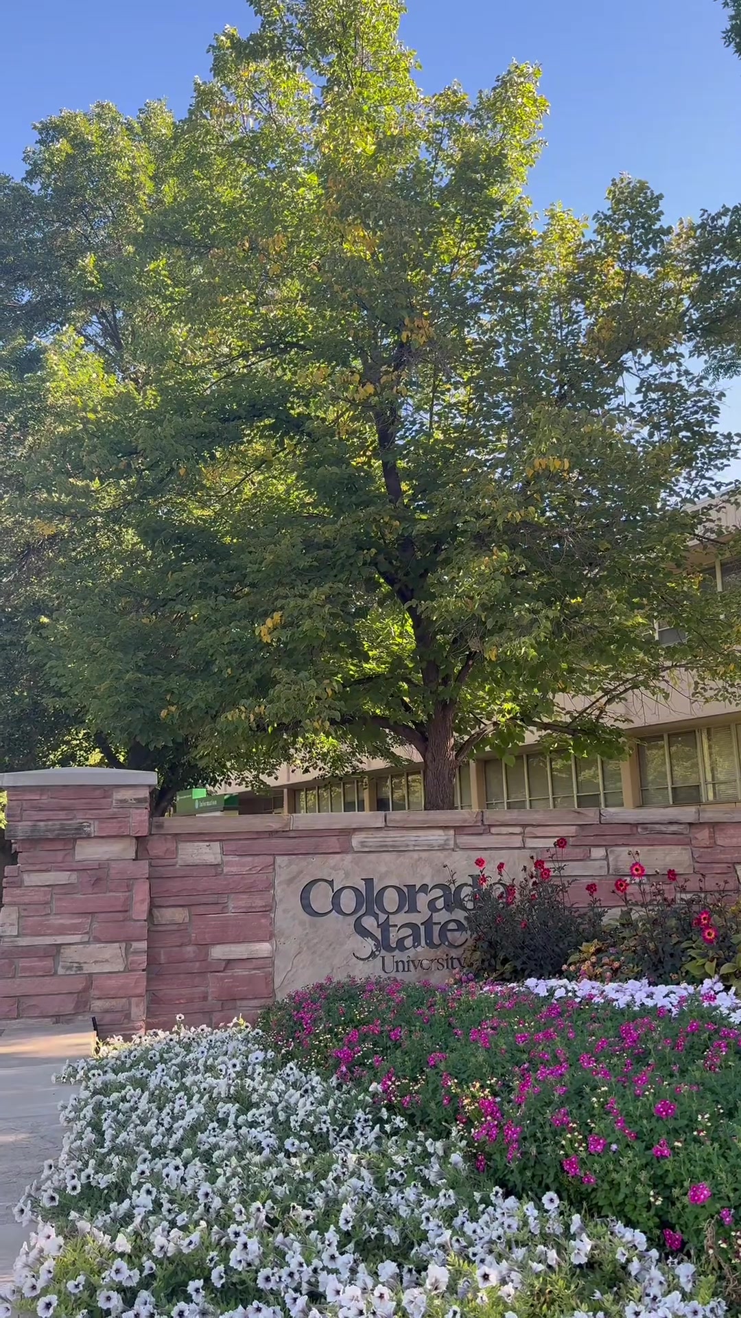 @Colorado State University