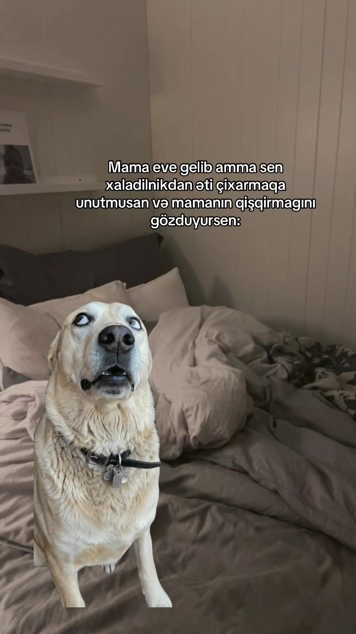 @𝐓.𝐀ྀིྀི