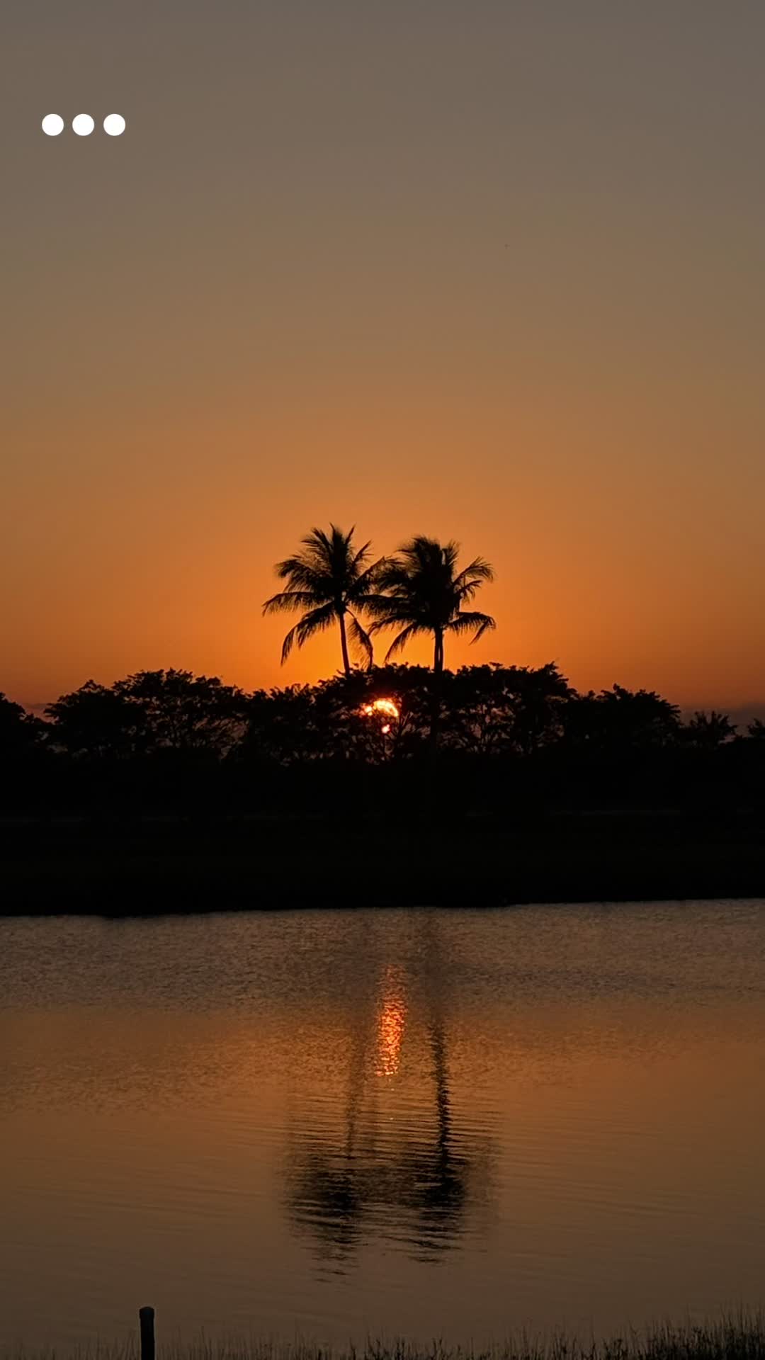 @_lobo.lopez_