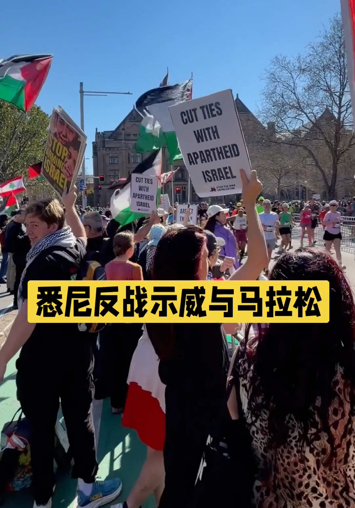 @澳中文传