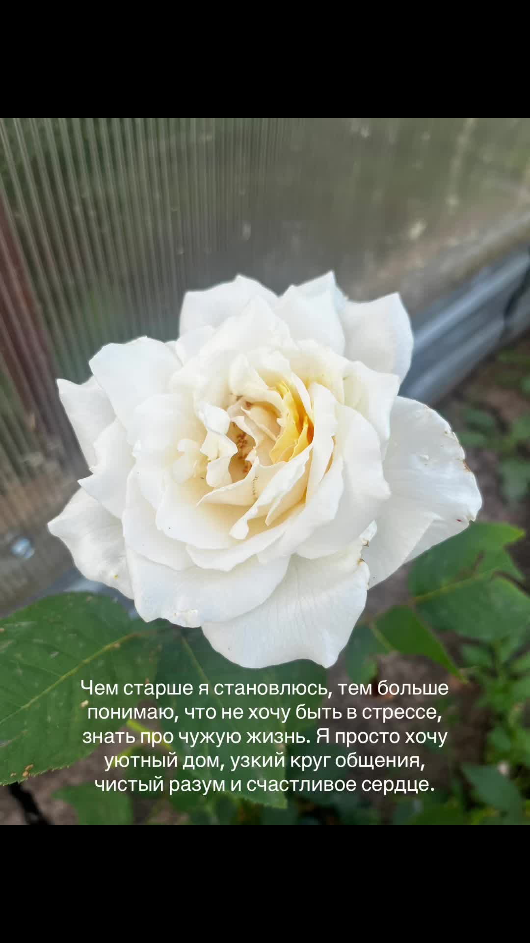 @Anastasiya