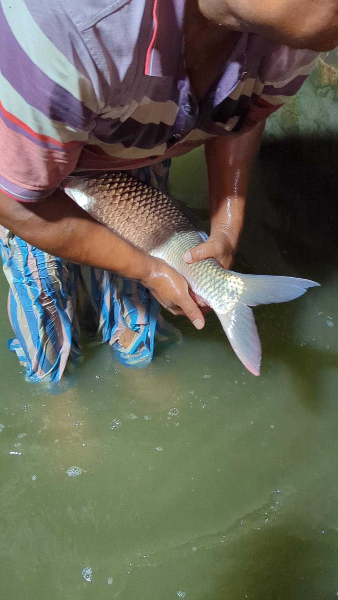 @Fish Lovers Bangladesh