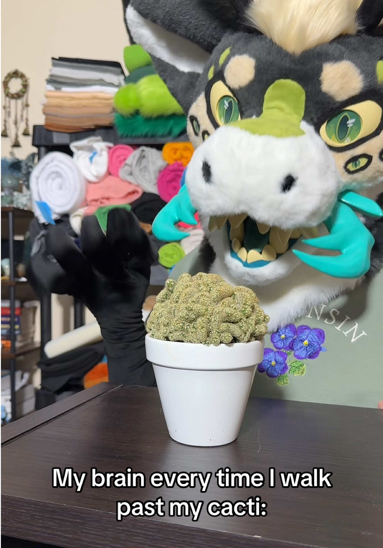 @🌱Sprout🌱