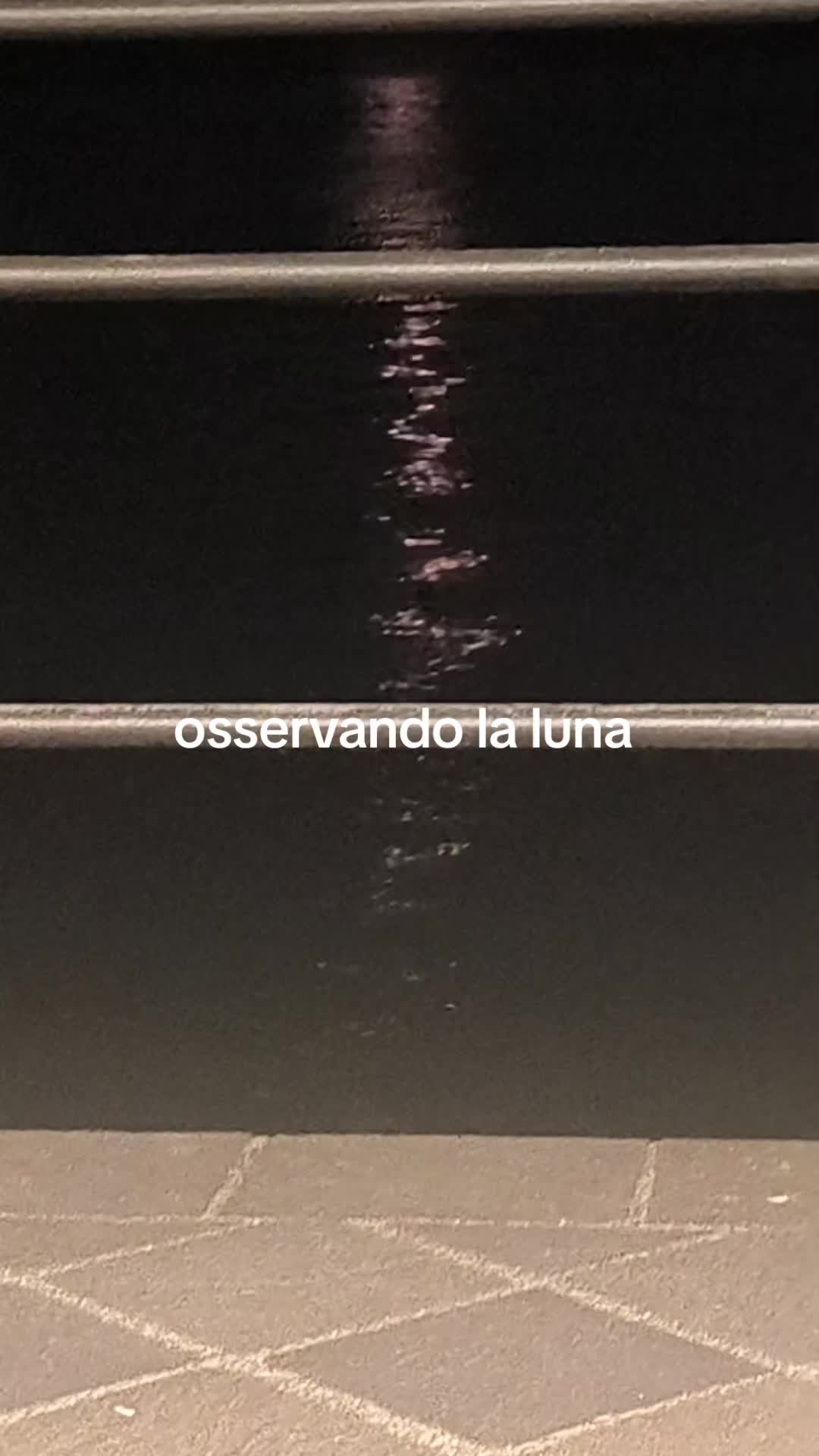 @💫Dany🦄