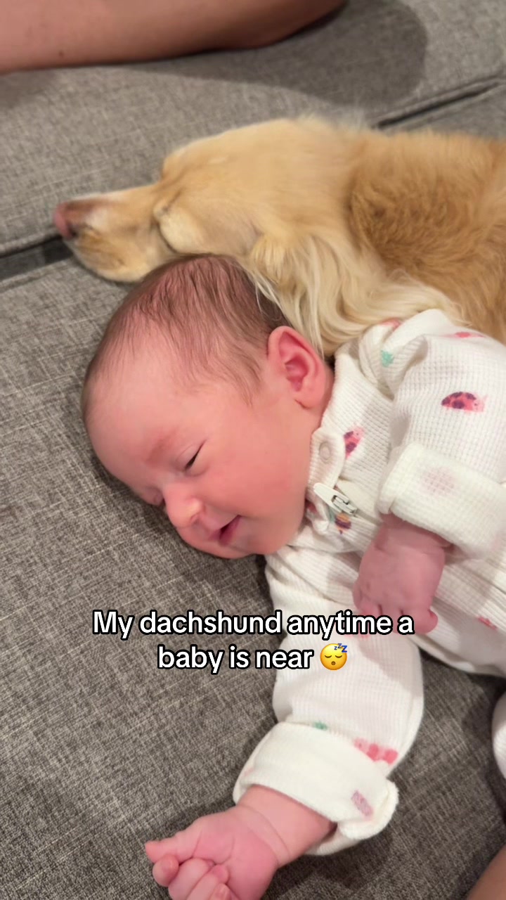 @Billiebeantheween