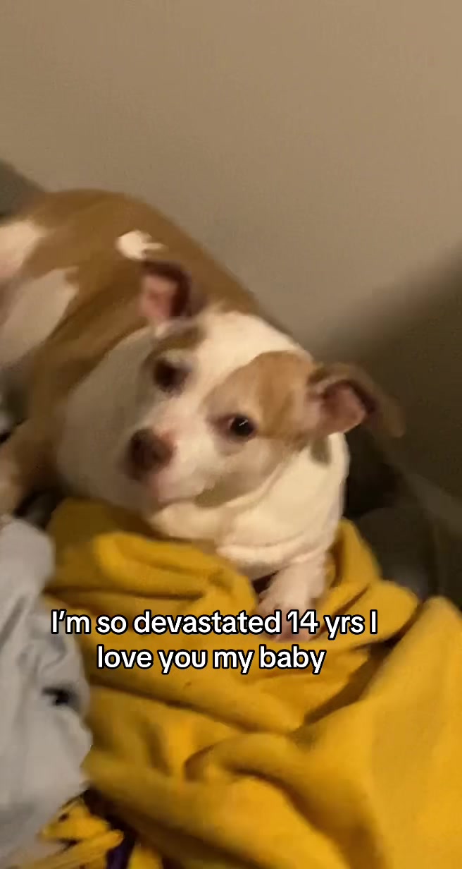 @Ogbabypinky