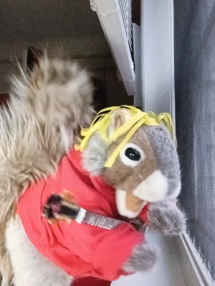 @Charles_TheSquirrel