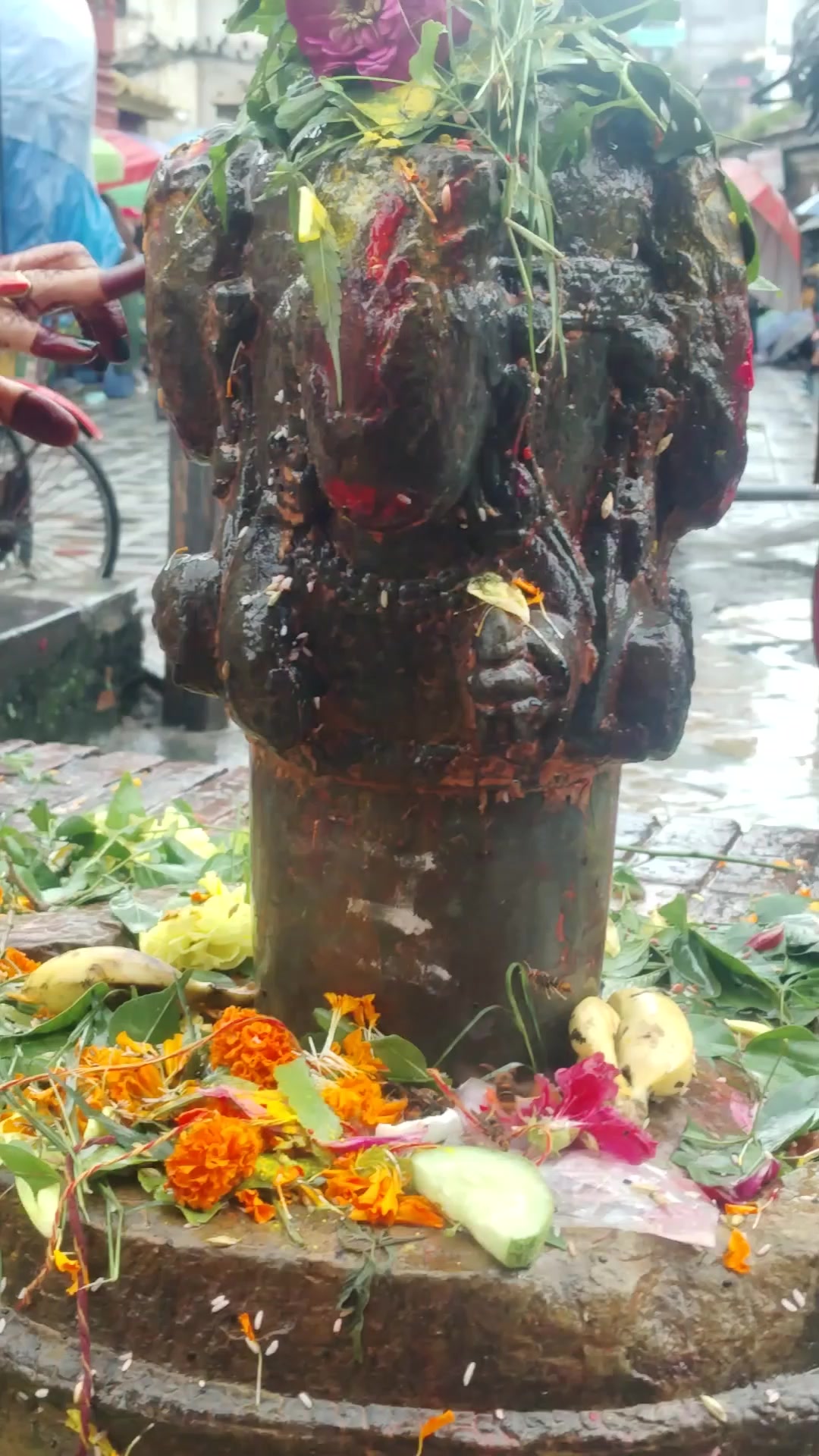 @Renu Mandal845