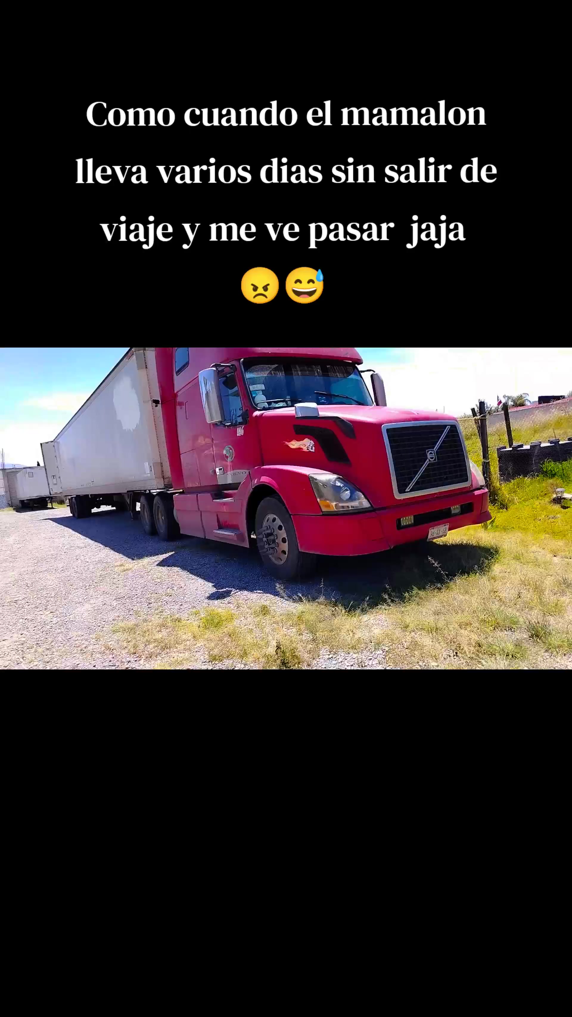 @10/28 Güero pp