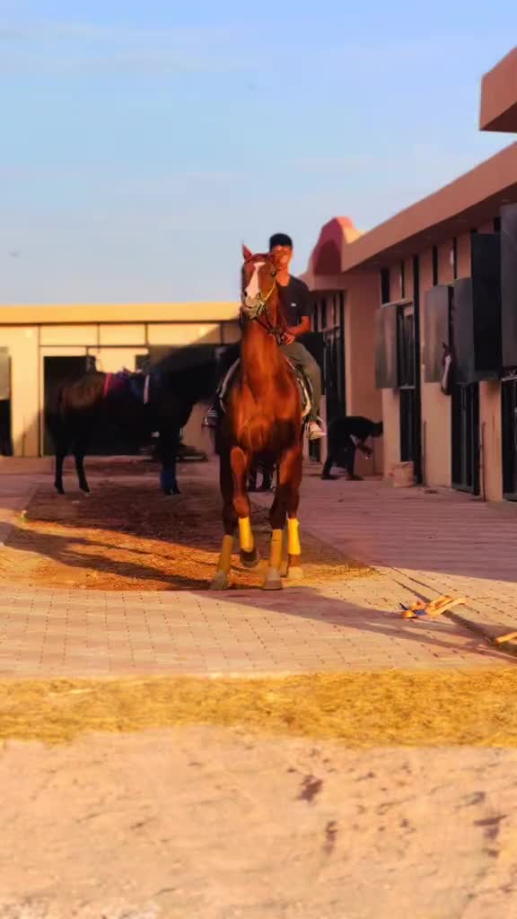 @عزو المصراتي🔥